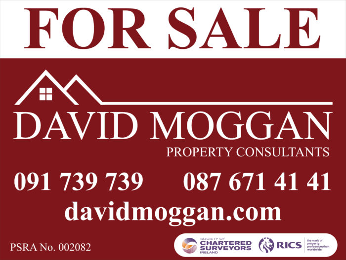 David Moggan Property Consultant Galway